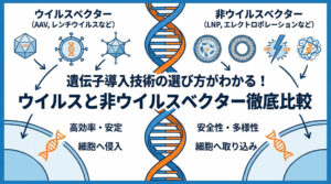 遺伝子導入技術の選び方がわかる！ウイルスと非ウイルスベクター徹底比較